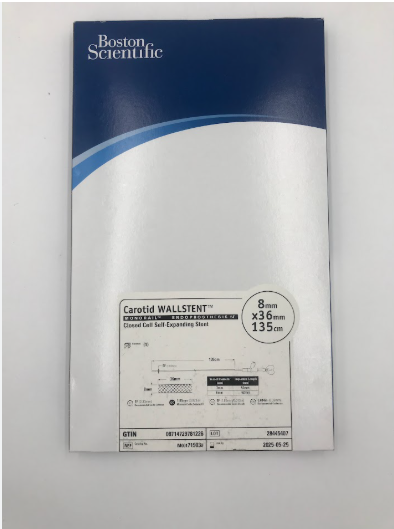 Carotid WALLSTENT